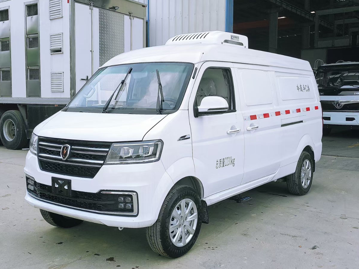 金杯小海獅面包冷藏車